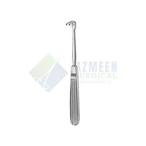 Oral Instruments