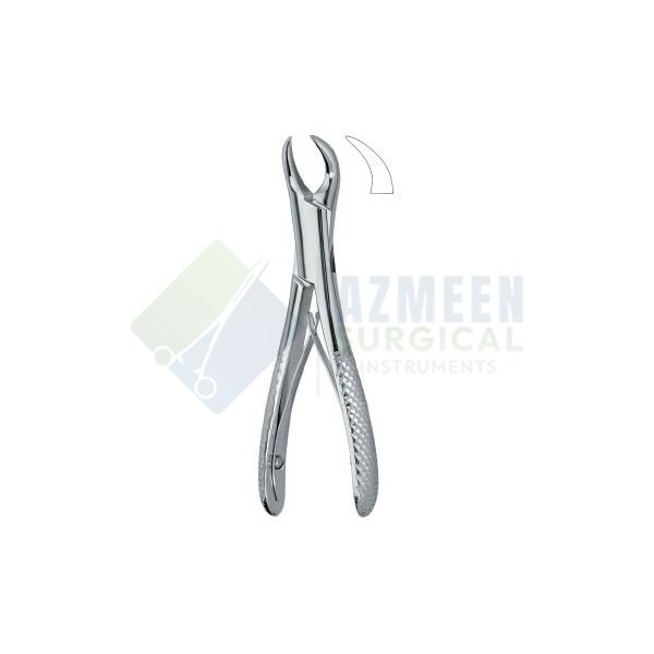 Molars 23SK