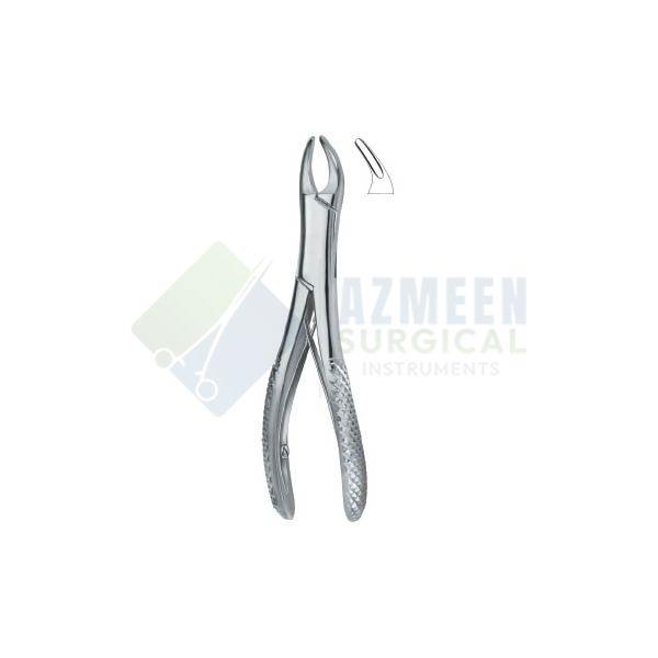 Teeth and Roots ,Universal 150SK