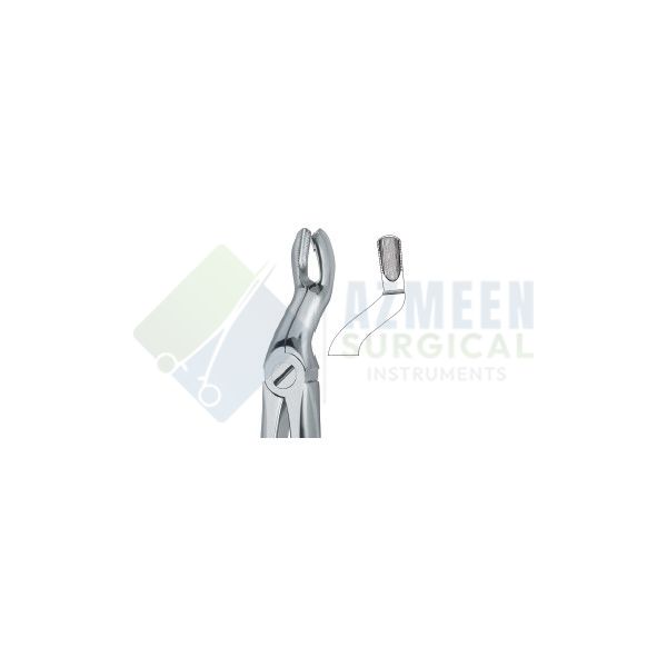  Third Molars 67 A 