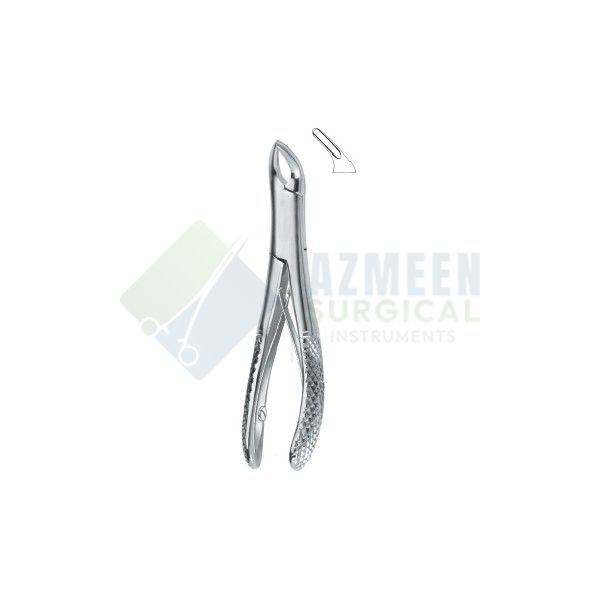 Teeth and Roots, Universal 151Sk